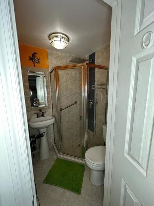 Sleeps 3, Casa Tropical In Miamiアパートメント エクステリア 写真